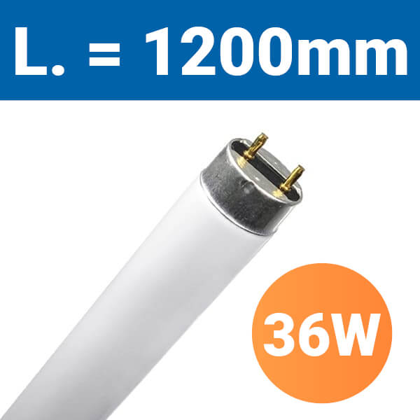 tube-fluo-t8
